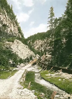 Walkways: Evacuation of logs