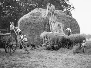Pangbourne: EVACUEES ON A FARM