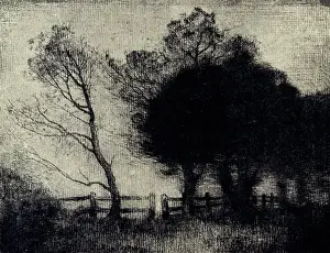 Gruner: Evening