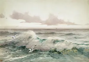 Ohara: Evening