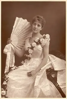 Watered: Evening Dress 1890