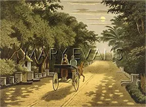 Colonials: EVENING ENGAGEMENT JAVA