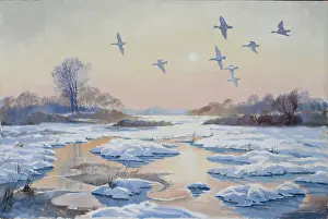 Mallard: Evening Flight of Mallard