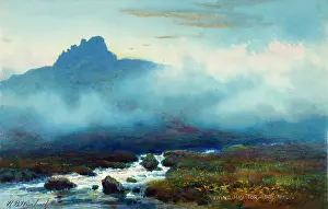 Bowser: Evening at Haytor, Dartmoor, Devon