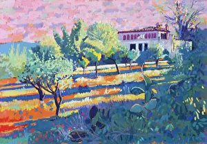 Huerta: Evening, La Huerta - cacti, trees, house
