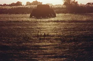 Matytsin: Evening Light photo art work, 1991