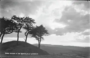 Powys: Evening in the Radnor Hills