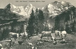 Eiger: Evening scene, Jungfrau, Monch and Eiger, Switzerland