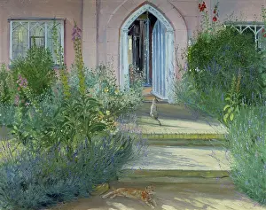 Foxgloves: Evening Shadows ' two cats on steps