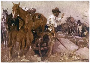 Wylie: EVENTS/AUSTRALIA