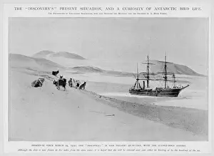 Huskies: EVENTS/EXPLORATION/POLAR