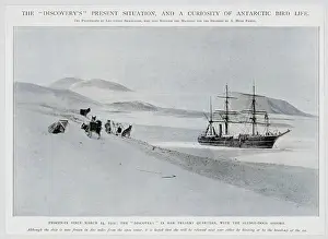 Huskies: EVENTS/EXPLORATION/POLAR