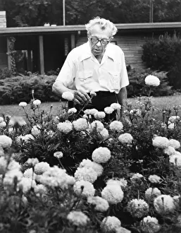 Dirksen: EVERETT DIRKSEN'S WASHINGTON, Senator Everett ?