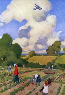 Cultivating: An Every-day Scene in 1917 by W. E. Wigfull