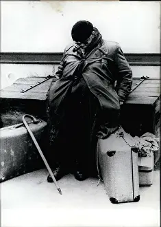 Likes: Everybody likes to travel but this Tramp seems