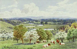 Evesham: Evesham, Worcestershire