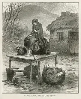 Evictions: AFTER THE EVICTION