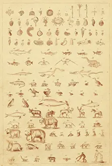 Evolution in Fossils