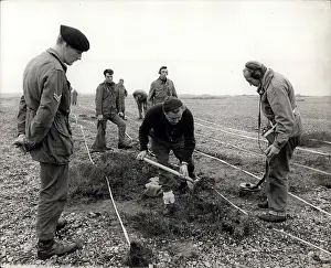 Recruited: Ex-POWs help clear beach for bird sanctuary, Kent