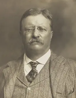 Lcgr1705: Ex-President Theodore Roosevelt stumping for progressive