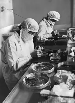 Tissues: Examination of cancer tissues, 1933