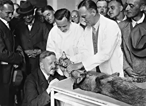 Veterinary: Examination of the stomach of a dog, 1931