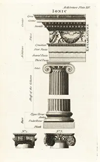 Volute: Example of the Ionic order, Temple of Fortuna Virilis, Rome