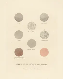 Hand Coloured: Example of types of stipple engraving