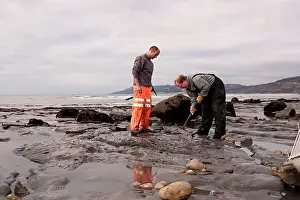 Palaeontologist: Excavating at Charmouth