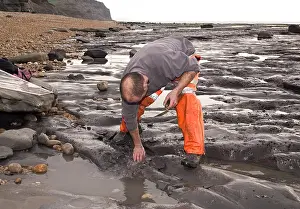Palaeontologist: Excavating at Charmouth