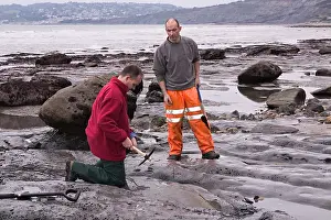 Palaeontologist: Excavating at Charmouth