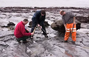 Palaeontologist: Excavating at Charmouth