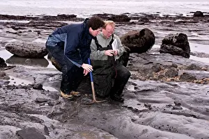 Palaeontologist: Excavating at Charmouth