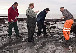 Palaeontologist: Excavating at Charmouth