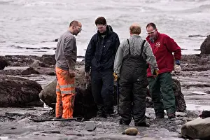 Palaeontologist: Excavating at Charmouth
