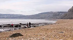 Palaeontologist: Excavating at Charmouth