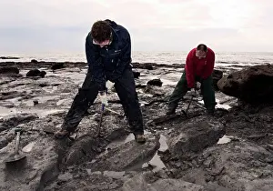 Palaeontologist: Excavating at Charmouth