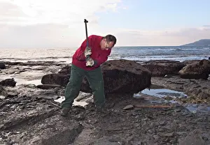 Palaeontologist: Excavating at Charmouth