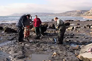 Palaeontologist: Excavating at Charmouth
