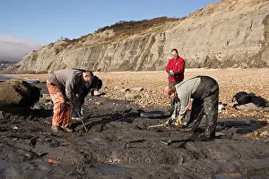 Palaeontologist: Excavating at Charmouth