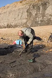 Palaeontologist: Excavating at Charmouth