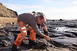 Palaeontologist: Excavating at Charmouth
