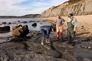 Palaeontologist: Excavating at Charmouth