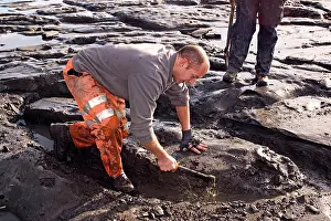 Palaeontologist: Excavating at Charmouth