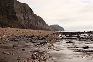 Palaeontologist: Excavating at Charmouth