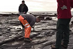 Palaeontologist: Excavating at Charmouth