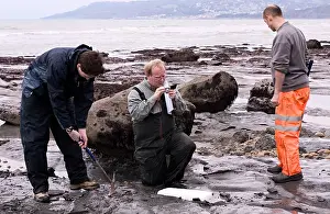 Palaeontologist: Excavating at Charmouth