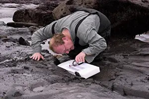 Palaeontologist: Excavating at Charmouth