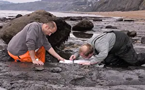 Palaeontologist: Excavating at Charmouth