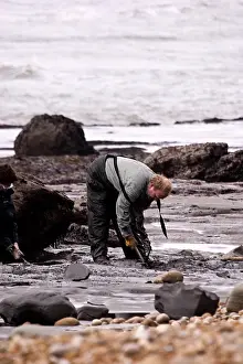 Palaeontologist: Excavating at Charmouth